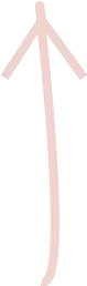 component_5
